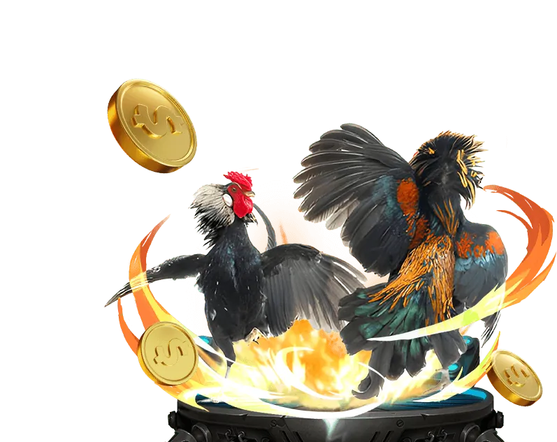 Đá gà JBO Việt Nam